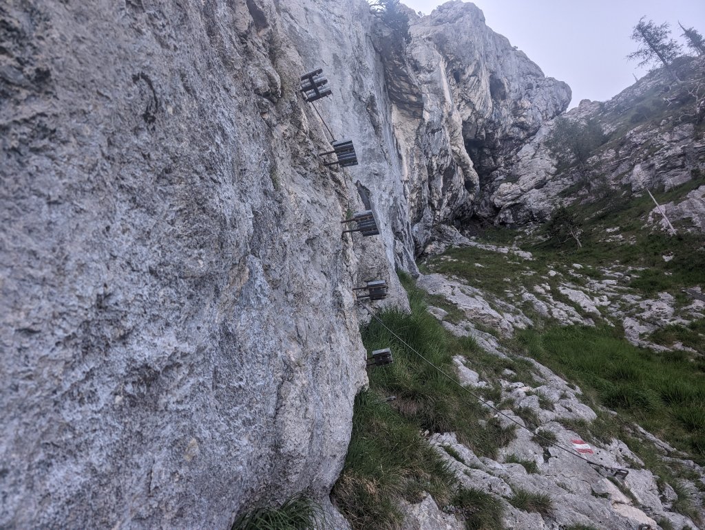 PXL_20240615_062722273