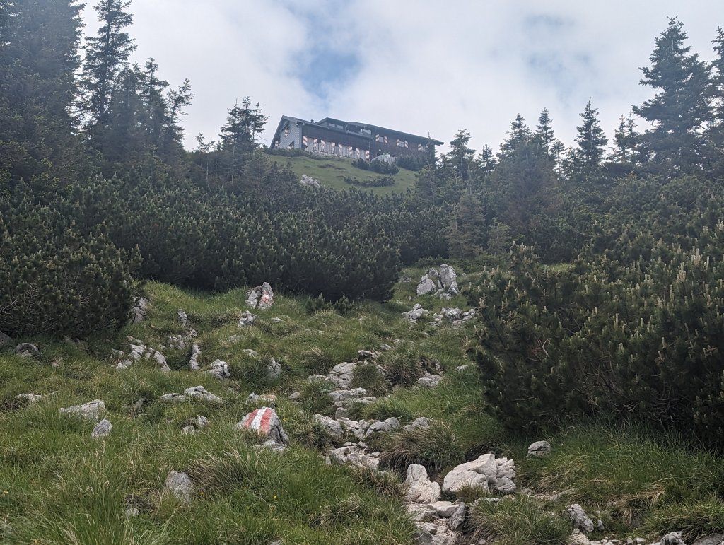 PXL_20240615_100442289