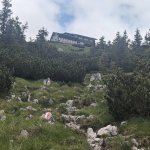 PXL_20240615_100442289