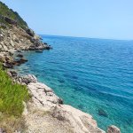 IMG_20240719_134524