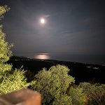 PXL_20240718_200019988.NIGHT