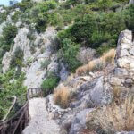 IMG_20240923_091121