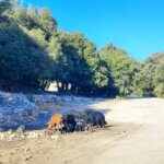IMG_20240926_164709