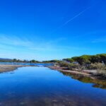 IMG_20241006_105306