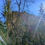 PXL_20250222_084645175-EFFECTS