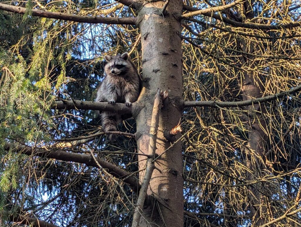 PXL_20250222_143534358