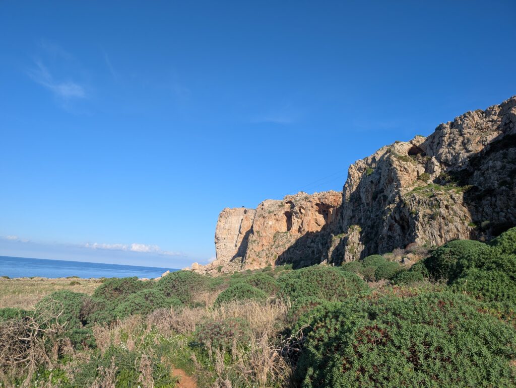 PXL_20251020_071929856