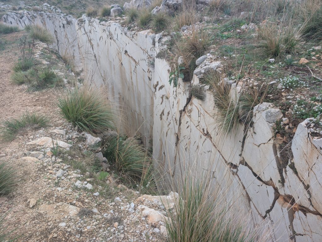 PXL_20251023_083754963