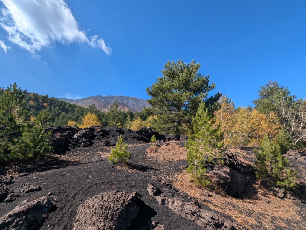 PXL_20251024_095313574