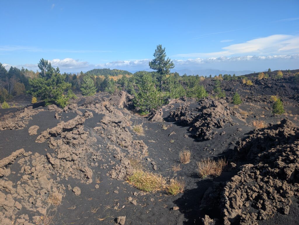 PXL_20251024_095501106