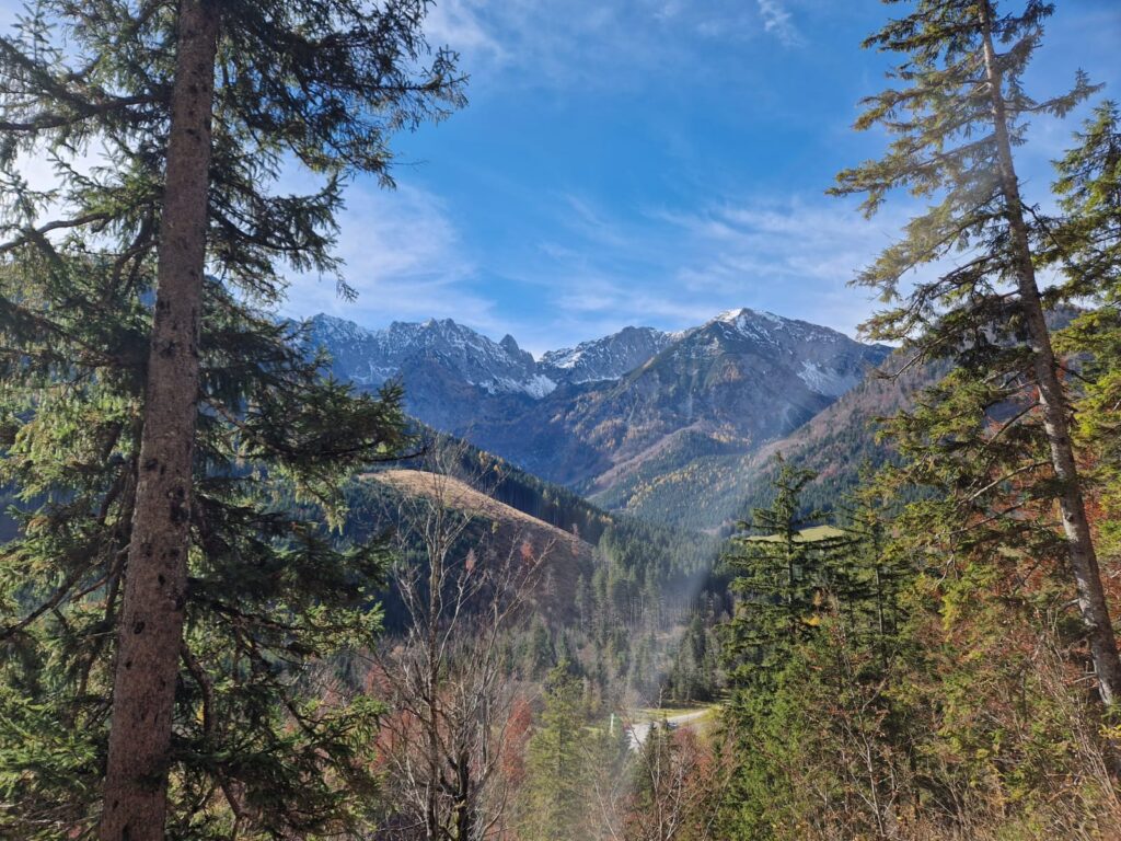 IMG-20251106-WA0009