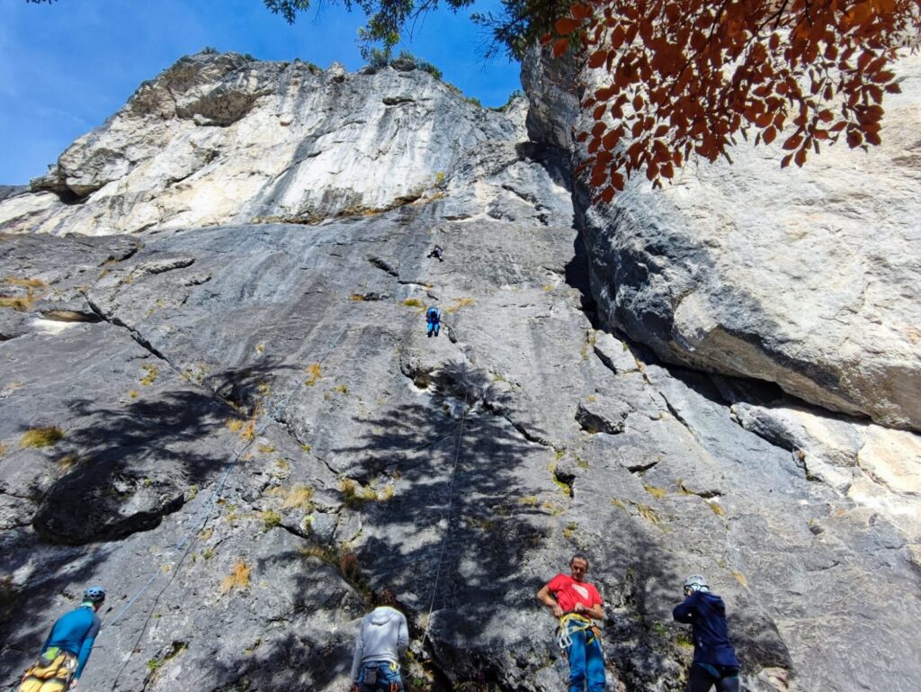 IMG-20251106-WA0016