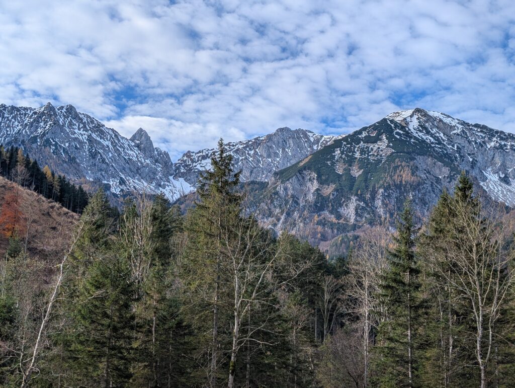 PXL_20251101_080231635