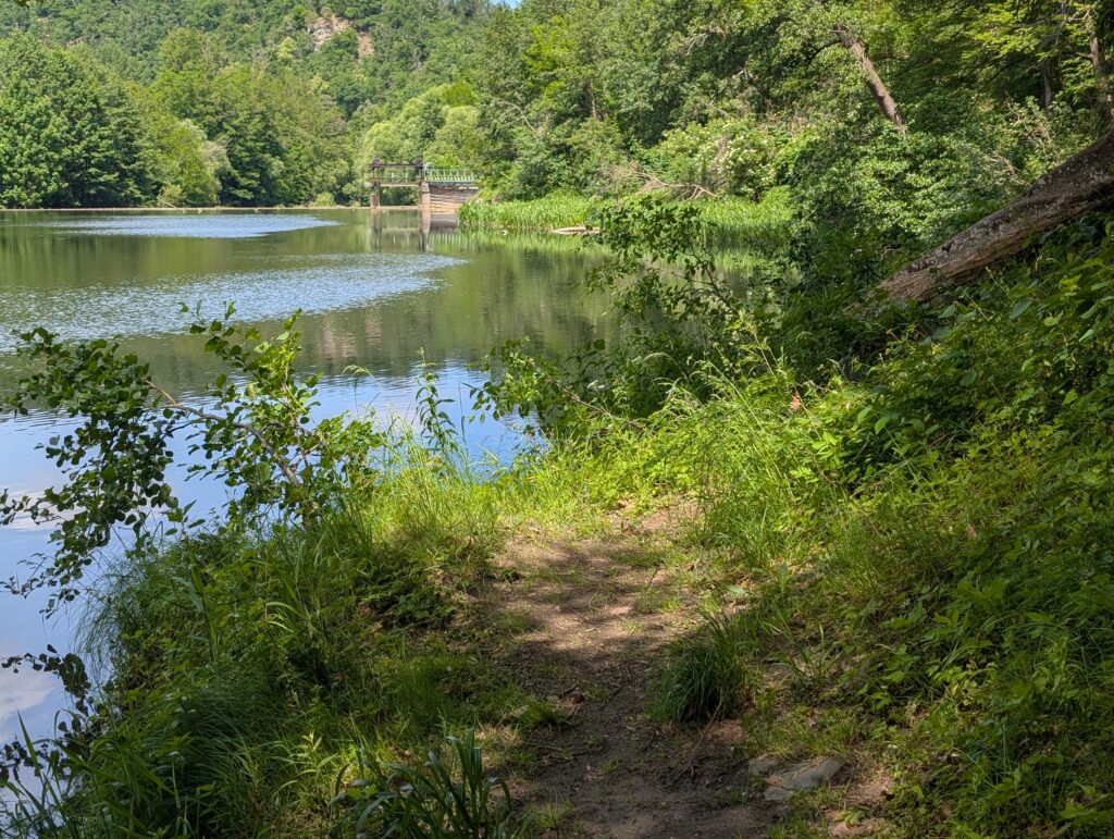 PXL_20260604_114659153
