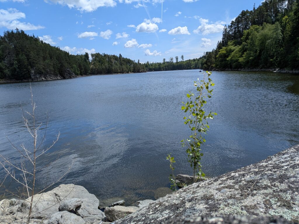 PXL_20260607_104507083.MP