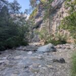 PXL_20260704_072037592.MP