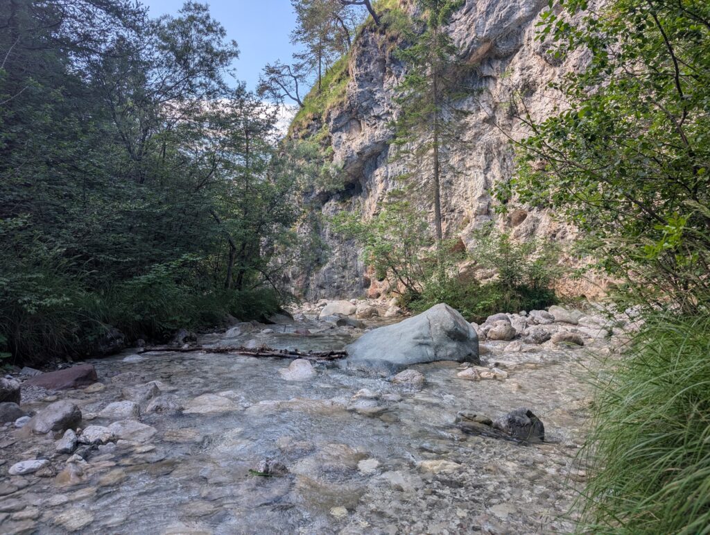PXL_20260704_072037592.MP