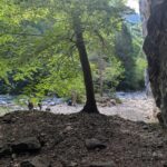 PXL_20260704_072910760