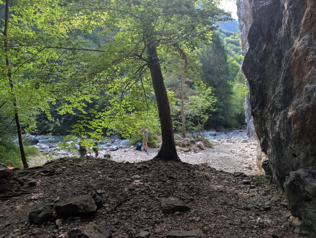PXL_20260704_072910760
