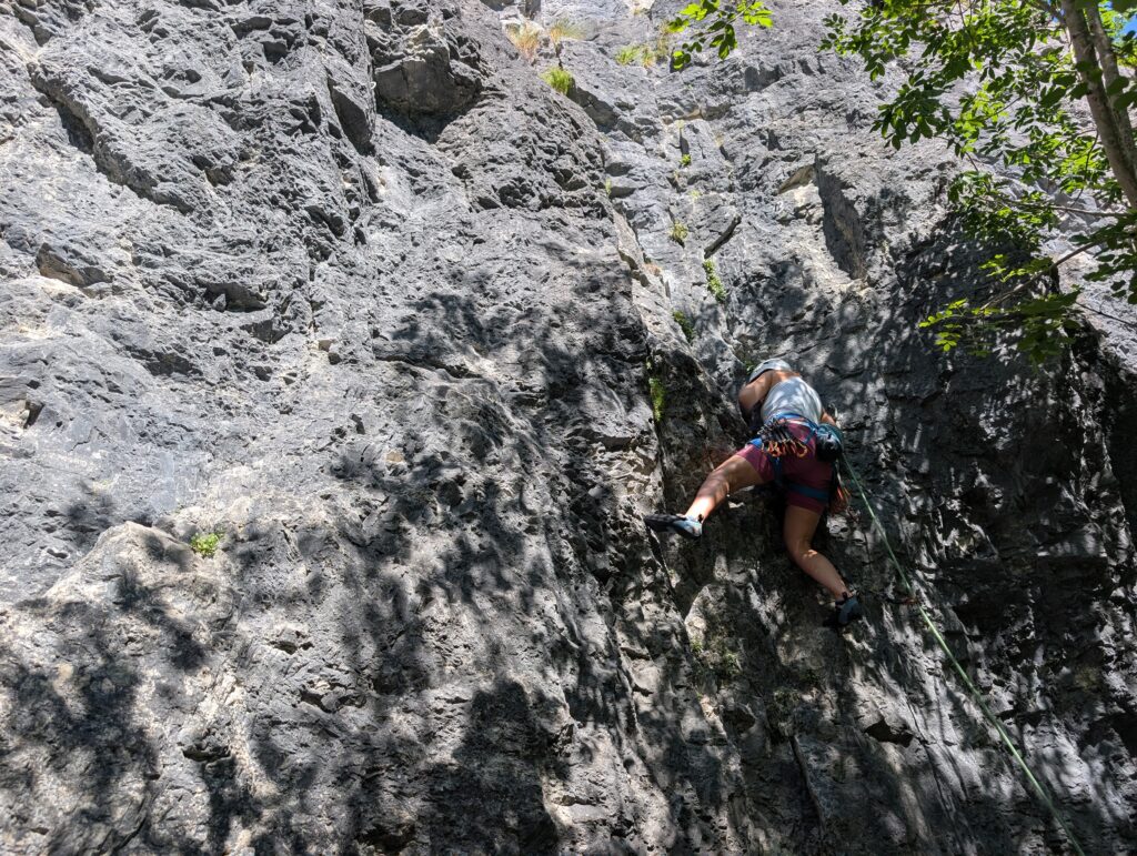 PXL_20260705_081908232
