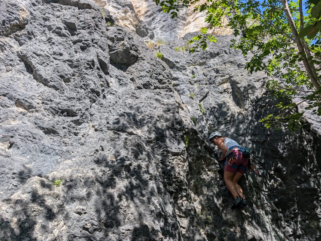 PXL_20260705_081910682