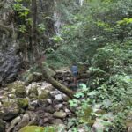 PXL_20260708_143521835