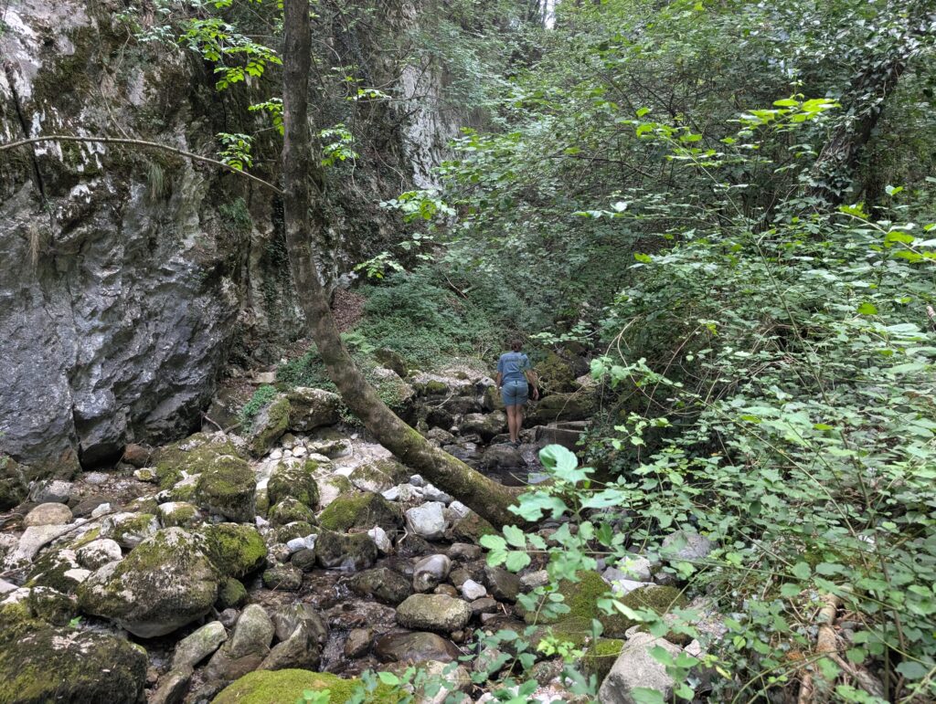PXL_20260708_143521835