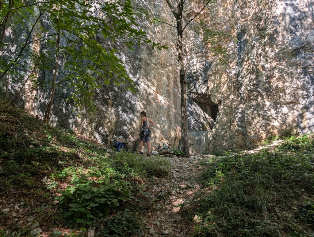 PXL_20260709_074811470
