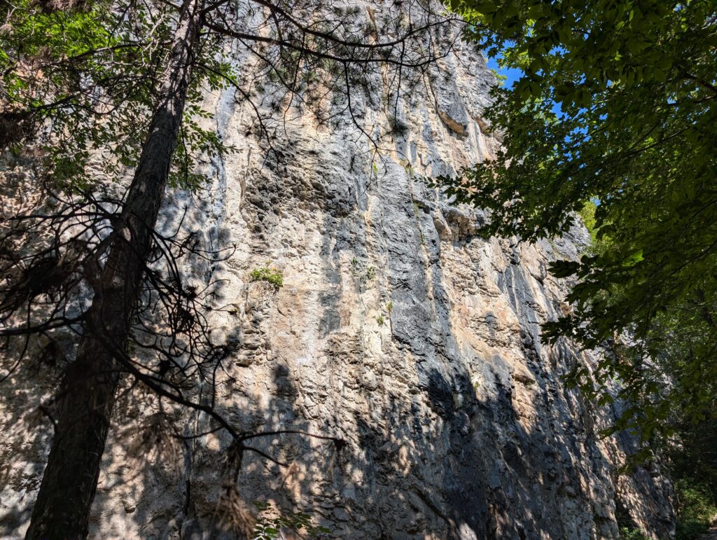 PXL_20260709_074823985