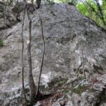 PXL_20260710_063803153
