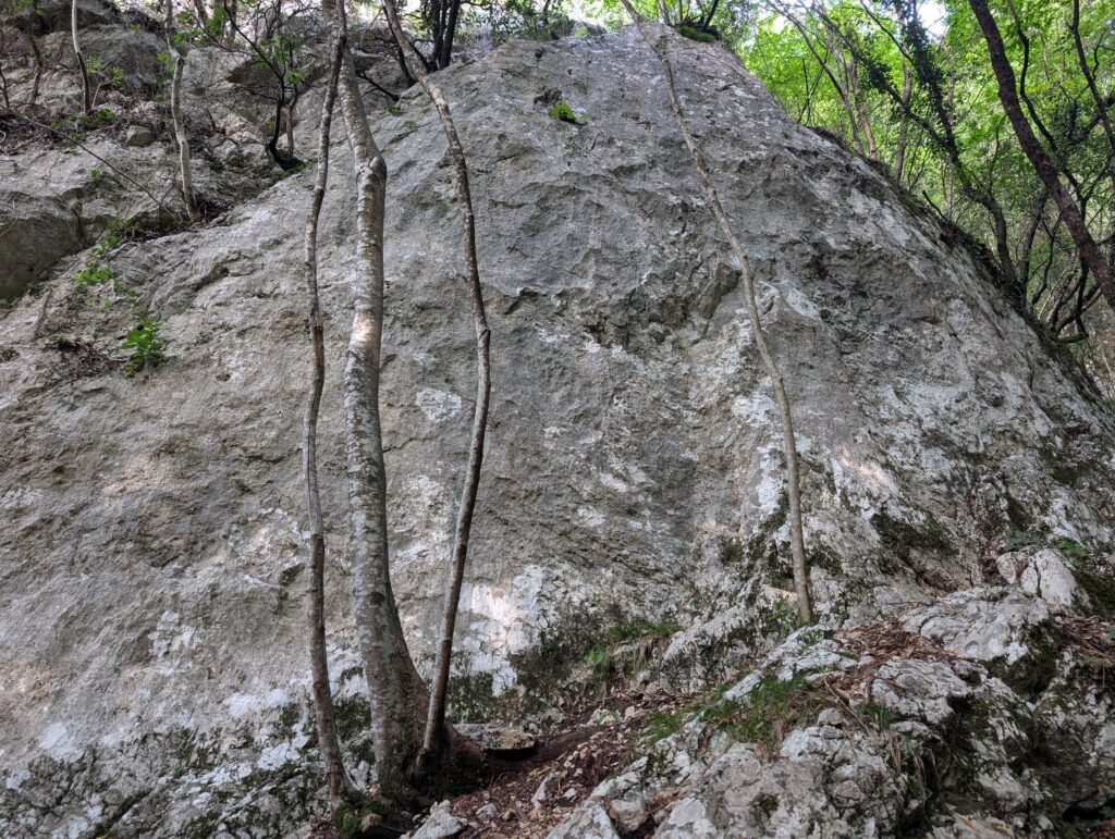 PXL_20260710_063803153