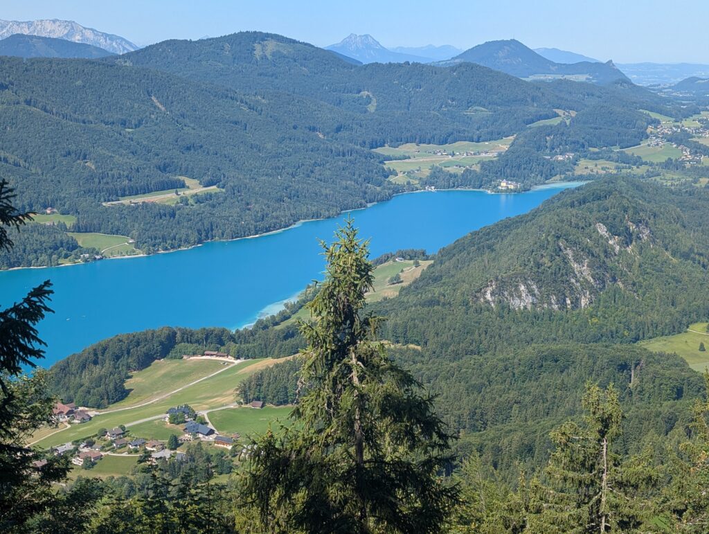 PXL_20260725_082239504