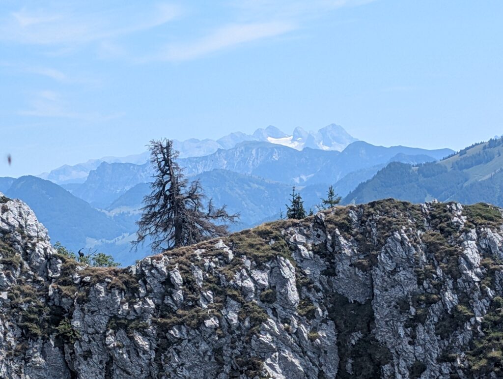 PXL_20260725_120443705