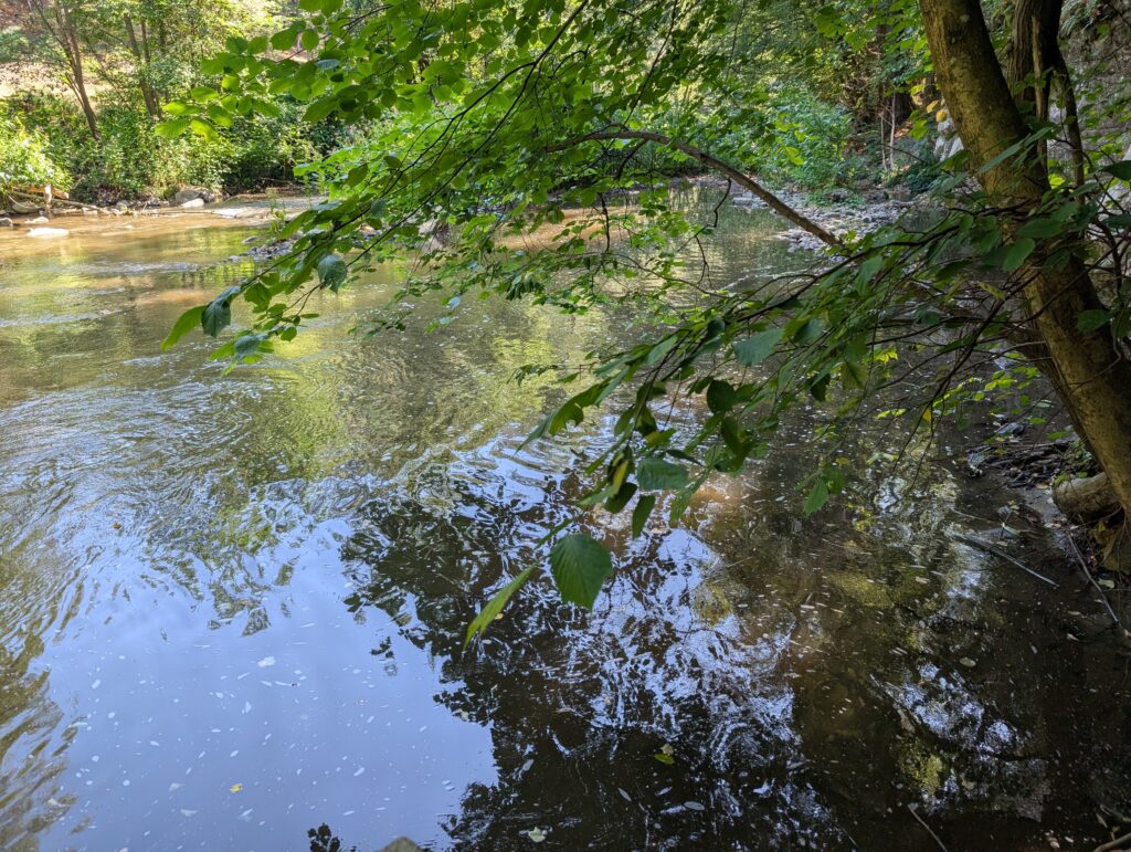 PXL_20260809_083923573.MP